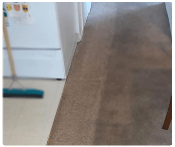 Best Carpet Cleaning Bardon
